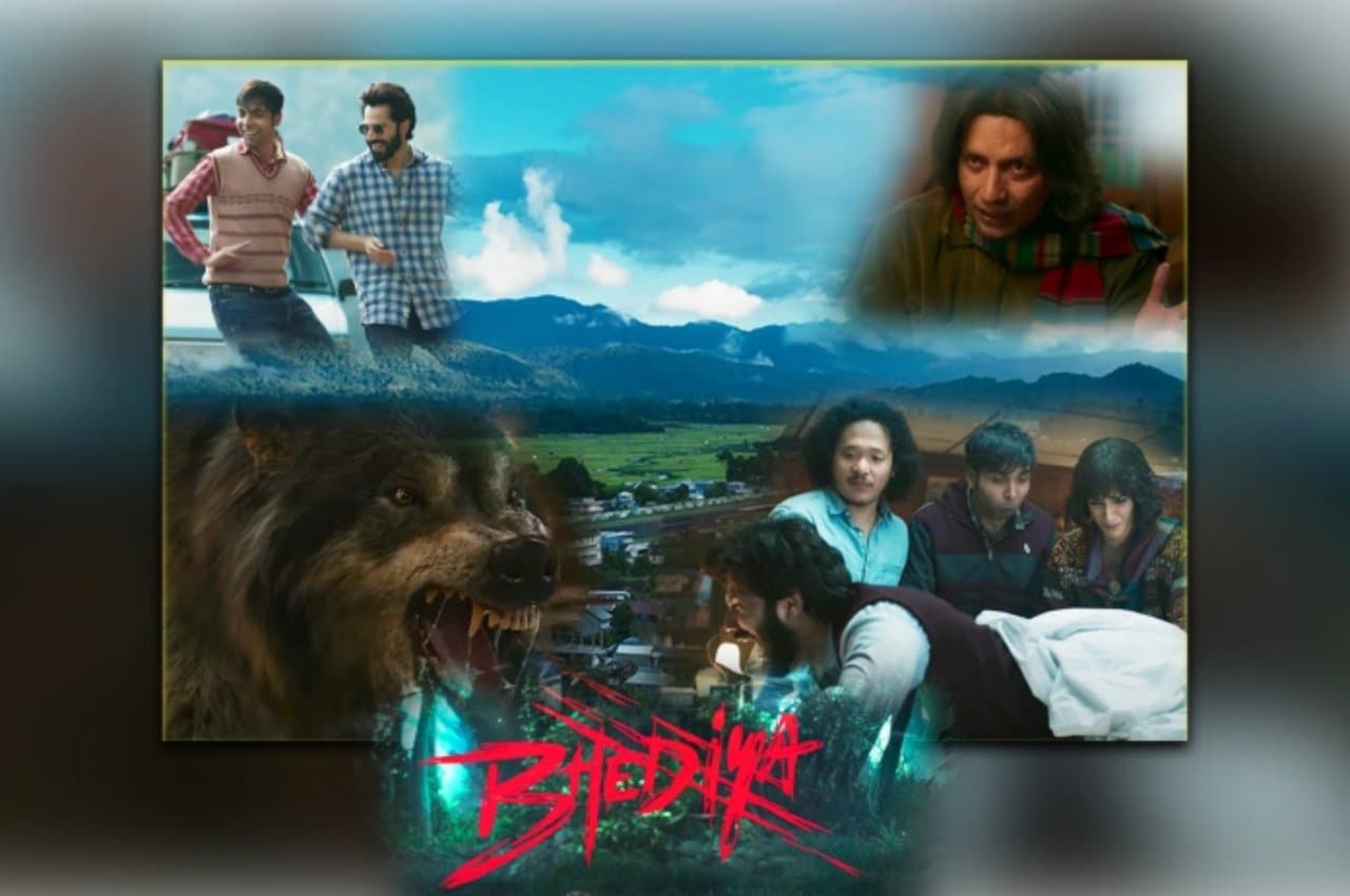Bhediya Box Office Collection Day 12: बारहवें दिन भी बॉक्स ऑफिस कलेक्शन में आई गिरावट Bhediya Box Office Collection Day 12