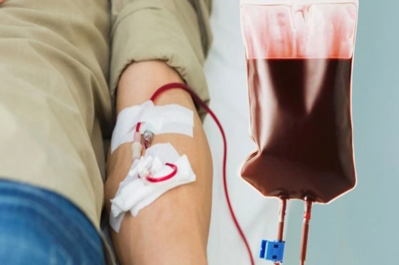 Blood Donation For Health: हर 3 महीने में जरूर करें ब्लड डोनेट, कम हो जाएगा कई जानलेवा बीमारियों का खतरा