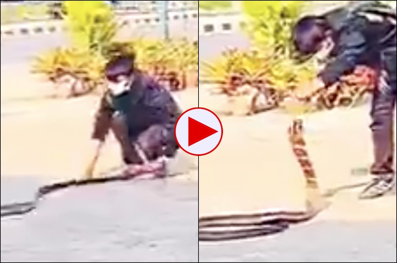 Child catching snake video: हैरतअंगेज! पलक झपकते ही बच्चे ने पकड़ा सांप का फन, वीडियो देख चौंक जाएंगे