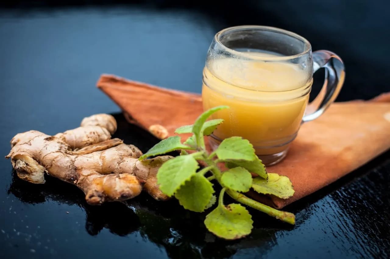 Ginger Detox Water Benefits: फेस्टिव सीजन में पेट हो गया है खराब, तो जिंजर वॉटर पीकर बॉडी को करें डिटॉक्सीफाई