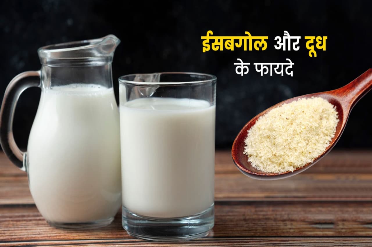 Isabgol With Milk Benefits: दूध में ईसबगोल को मिलाकर पीने से सेहत को मिलते हैं कमाल के फायदे