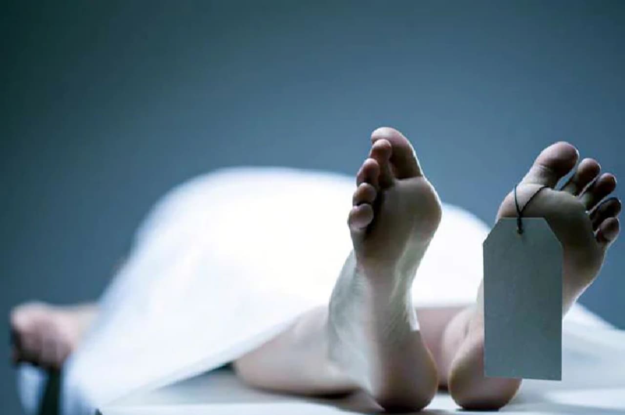 ट्रेलर की चपेट में आने से लैंको प्लांट के सुरक्षाकर्मी की मौत, वाहन हुआ फरार