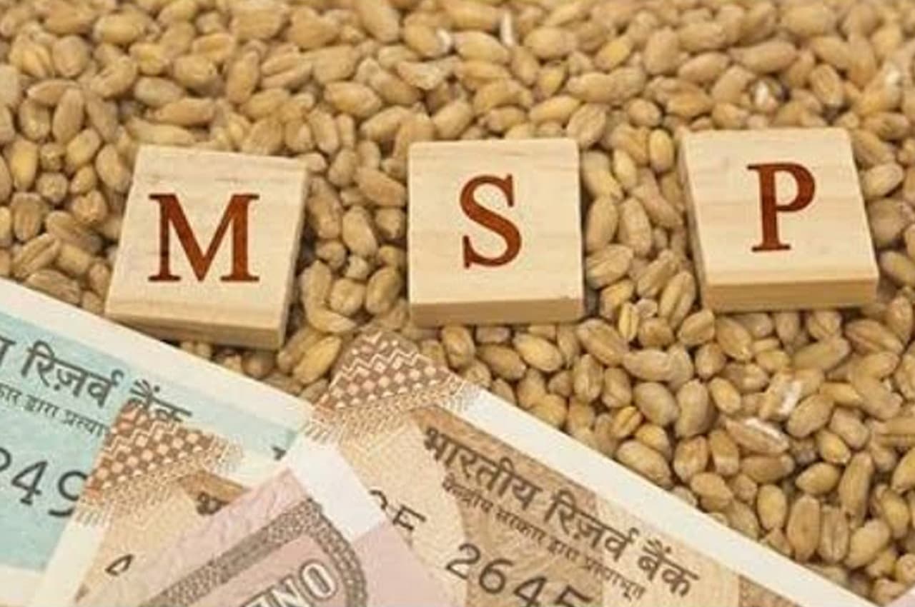 दीवाली से पहले केंद्र सरकार का किसानों को एक और बड़ा तोहफा, रबी की इन फसलों पर बढ़ाई MSP