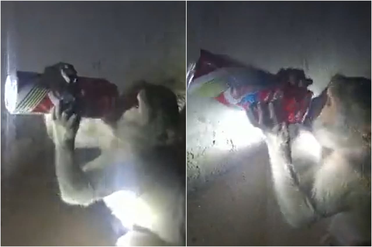 Viral Video: पानी समझकर बंदर गटक गया पूरी बीयर की केन, देखें फिर क्या हुआ?