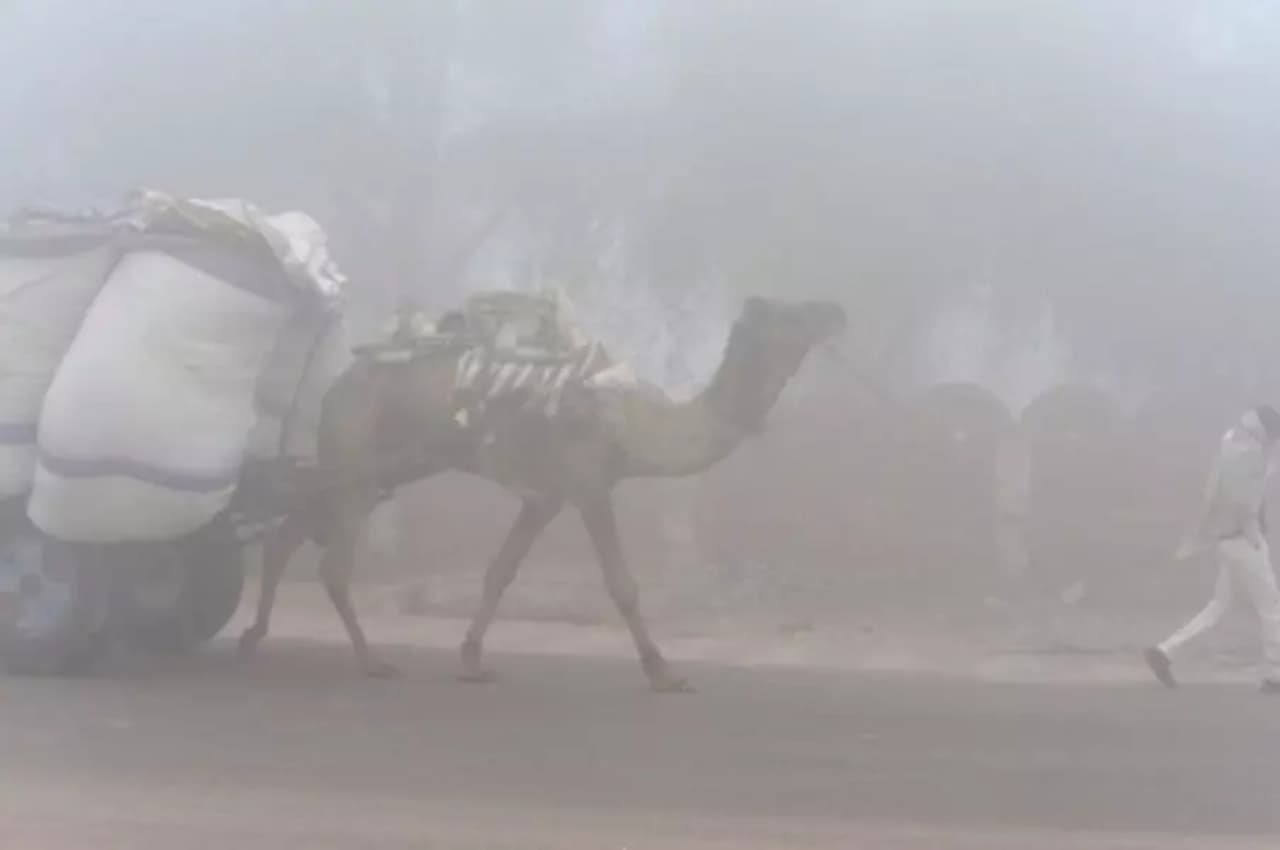 Rajasthan Winter Alert: प्रदेश में सर्द हवाओं से बढ़ने लगी ठिठुरन, इस जगह का सबसे कम रहा तापमान