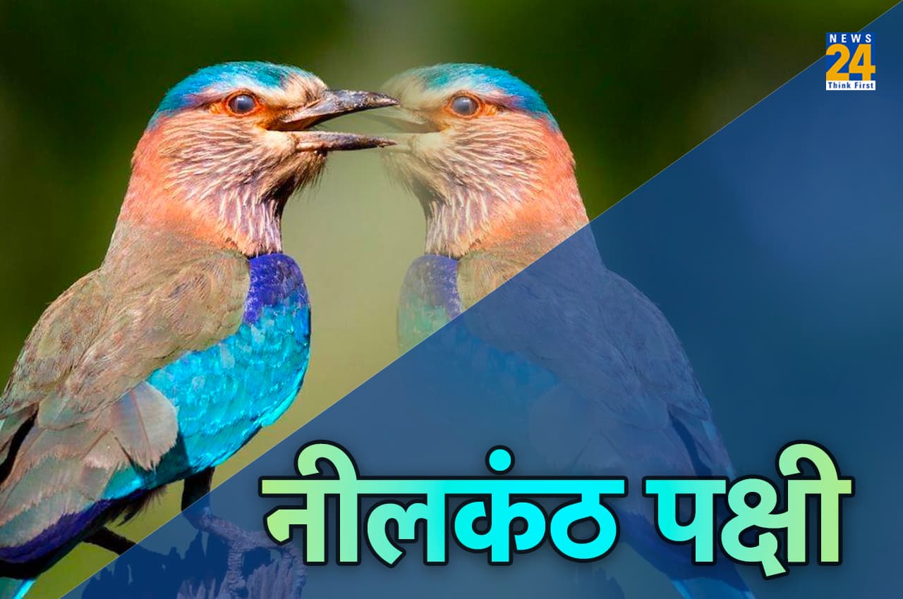 Vijayadashami: विजयादशमी के दिन इस पक्षी के दर्शन मात्र से खुल जाती है किस्मत