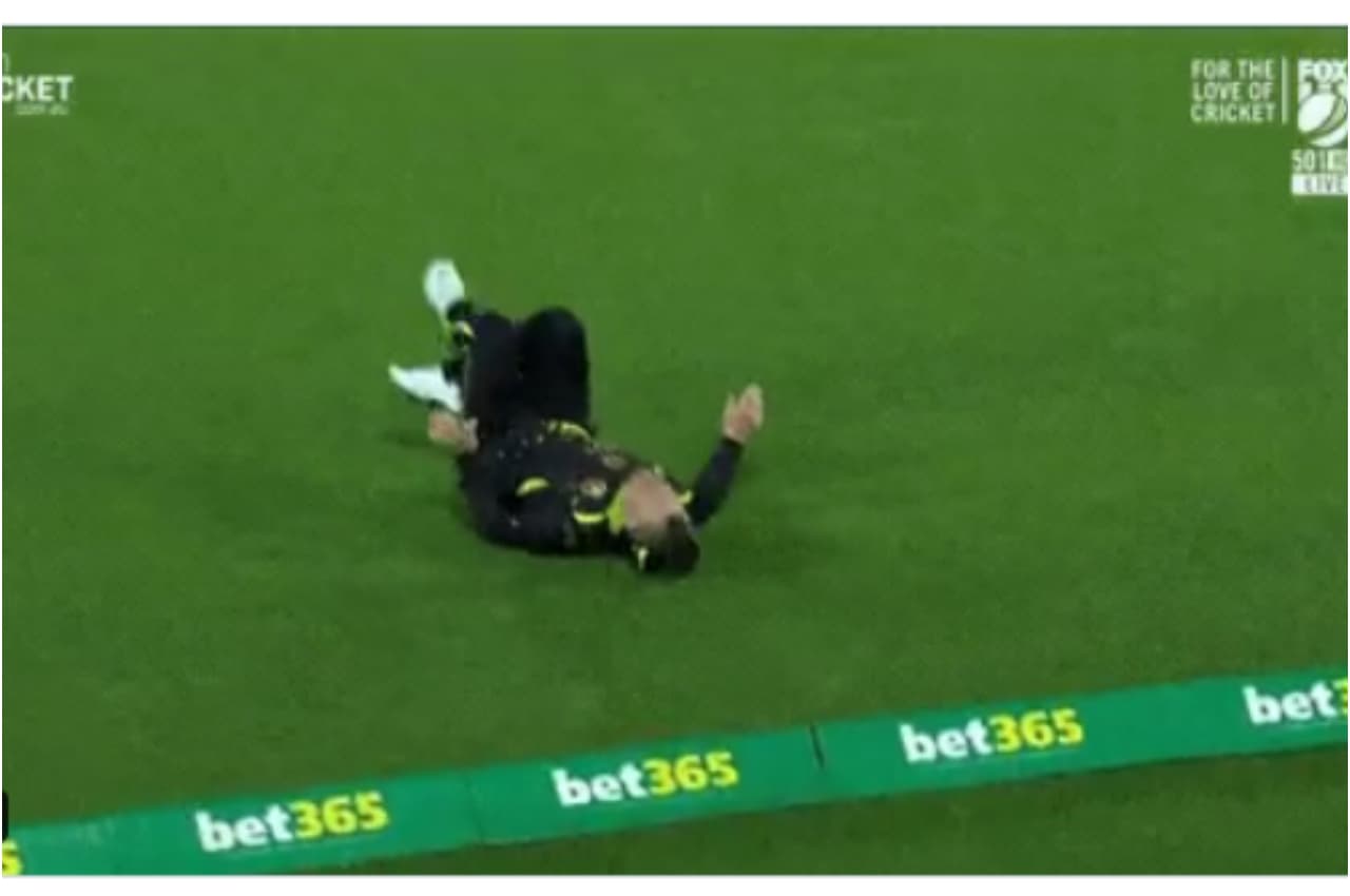AUS vs ENG: कैच लपकने के लिए डेविड वार्नर ने लगाई छलांग, सिर के बल गिरे धड़ाम, देखें वीडियो