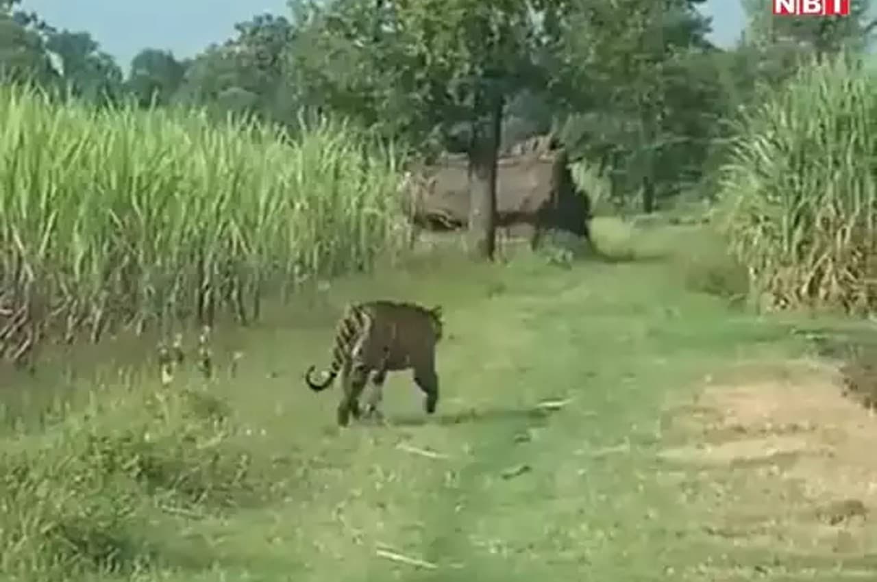 bihar