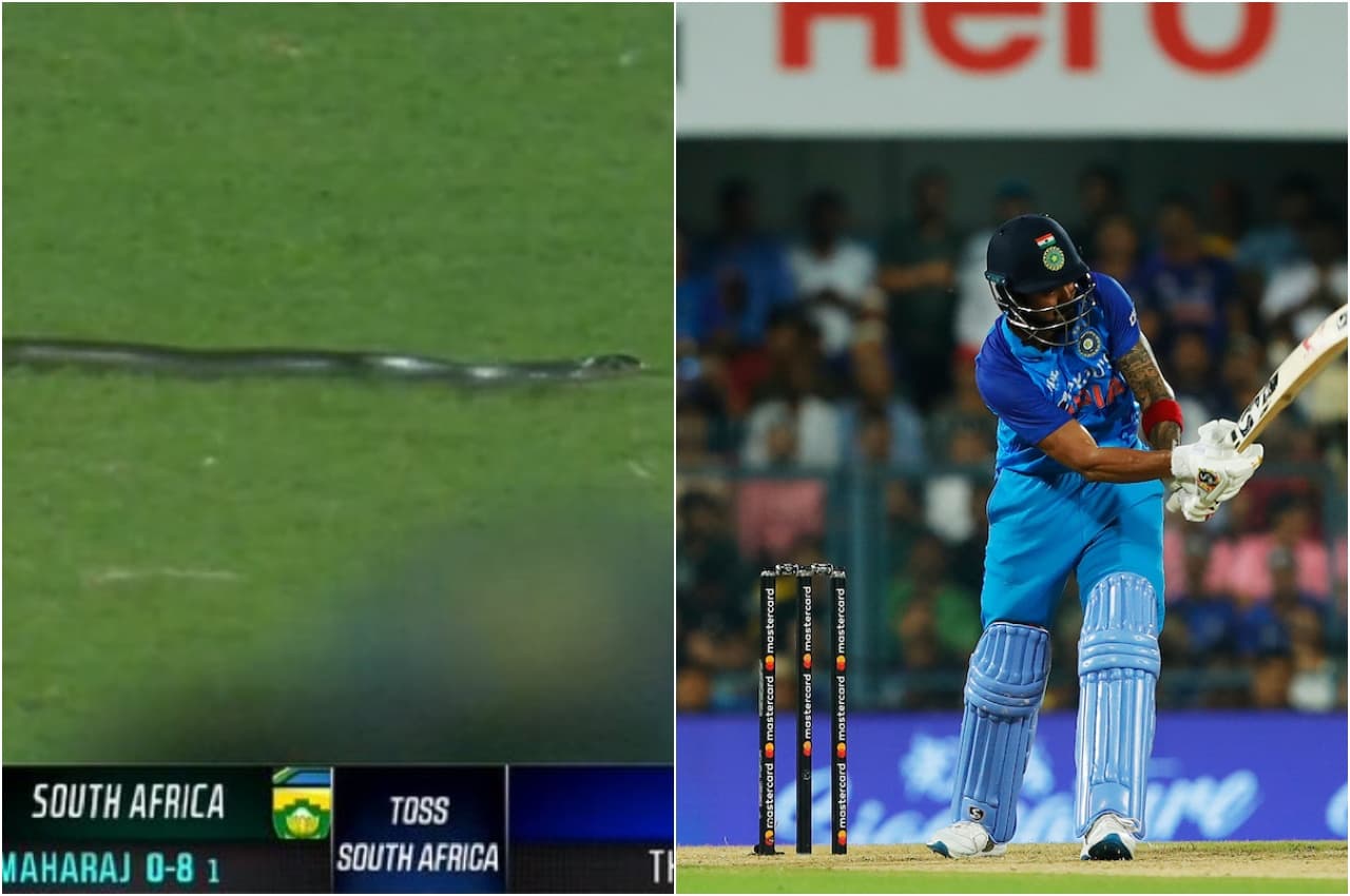 IND vs SA: राहुल-रोहित ने बरसाए चौके-छक्के, स्टेडियम में सांप ने उठा लिया फन
