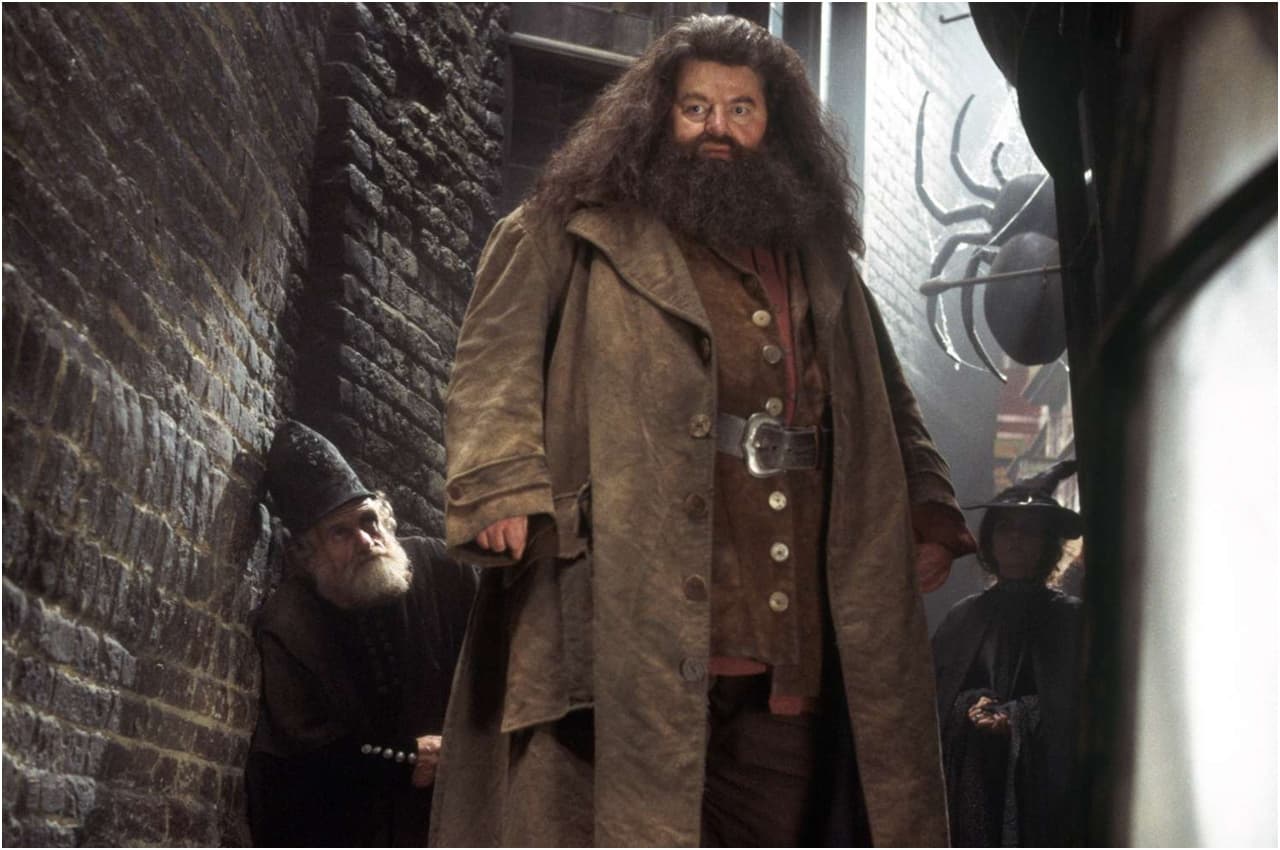 Robbie Coltrane: नहीं रहे हैरी पॉटर के 'हैग्रिड', मशहूर एक्टर रॉबी कोलट्रेन का निधन
