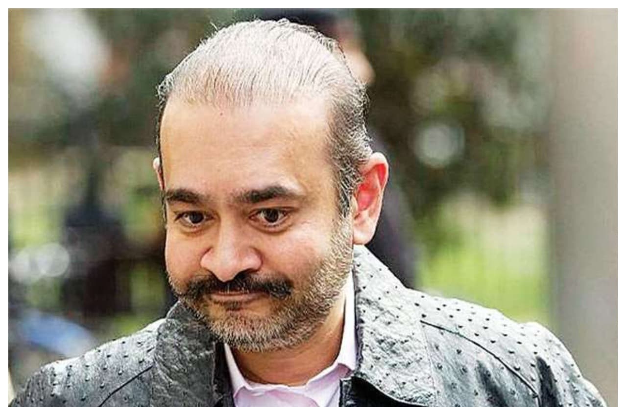 नीरव मोदी को ब्रिटेन HC से बड़ा झटका,  प्रत्यर्पण रोकने की अर्जी खारिज, अब लाए जाएंगे भारत ?