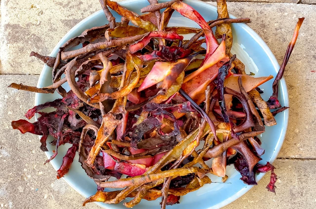 Healthy Snack: स्वाद में खट्टे-मीठे लगते हैं सेब के छिलकों से बने चिप्स, ये रही क्रिस्पी रेसिपी