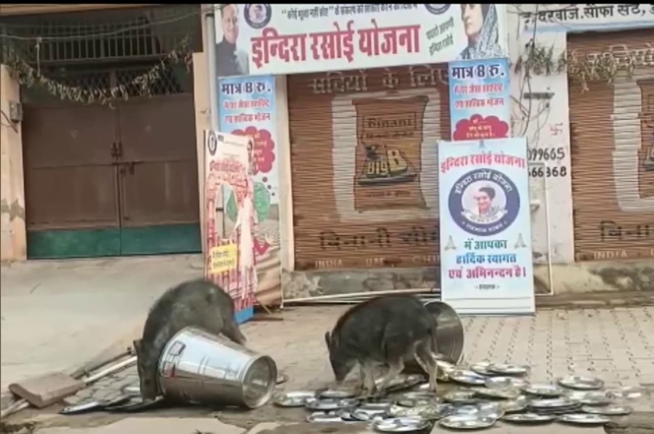 Bharatpur: इंदिरा रसोई के बर्तनों को साफ करते दिखे सूअर, केंद्रीय मंत्री ने साधा निशाना