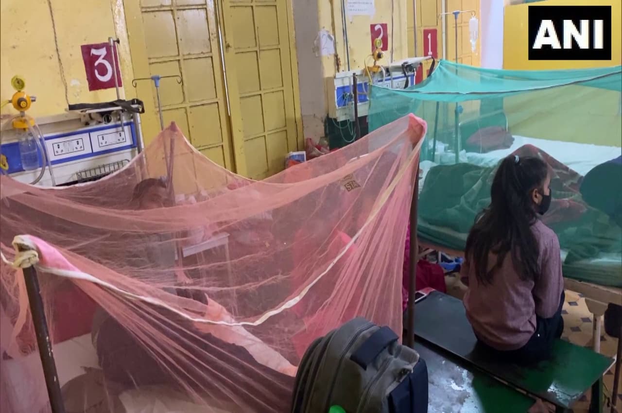 Dengue in UP: गाजियाबाद में तेजी से बढ़ रहा डेंगू, मरीजों के हिसाब से डॉक्टरों की संख्या चिंताजनक