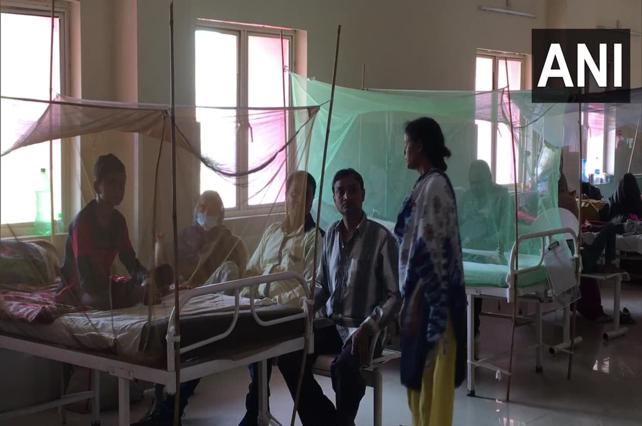 Lucknow News: यूपी में डेंगू का कहर रोकने के लिए सीएम योगी ने बनाया प्लान, बनाए जाएंगे डेडीकेटेड अस्पताल