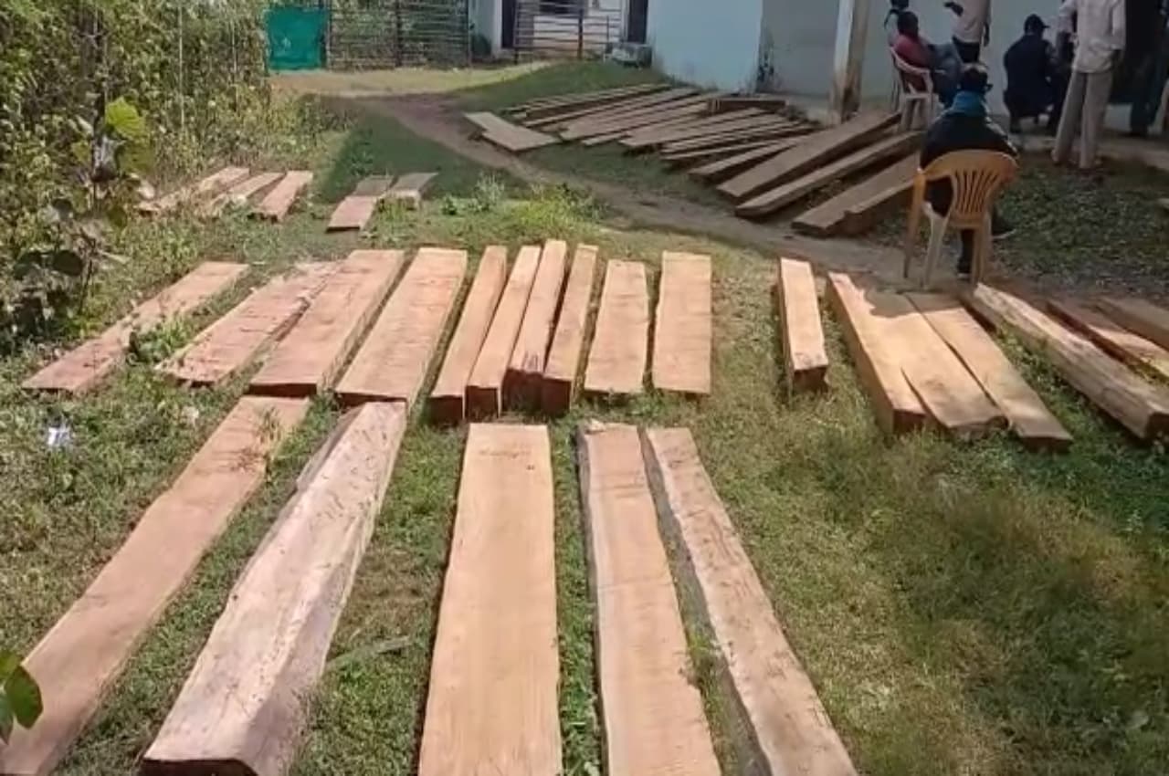 Kanker Crime News: वन विभाग की बड़ी कार्रवाई, लाखों की अवैध सागौन लकड़ी जब्त
