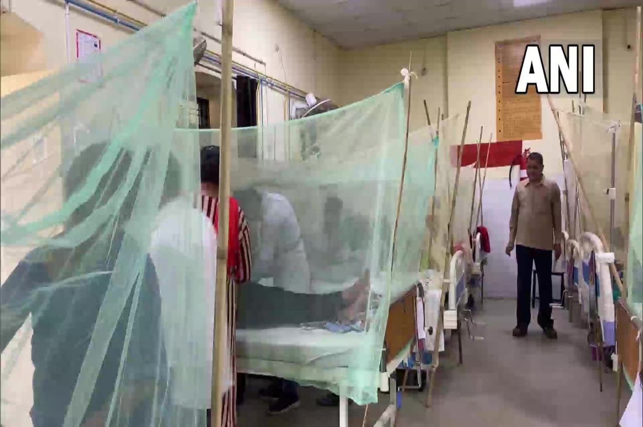 Dengue in UP: प्रयागराज में डेंगू का कहर, मौतों के आंकड़े को सुन कांप जाएगी रूह! CMO ने दिया ये बयान
