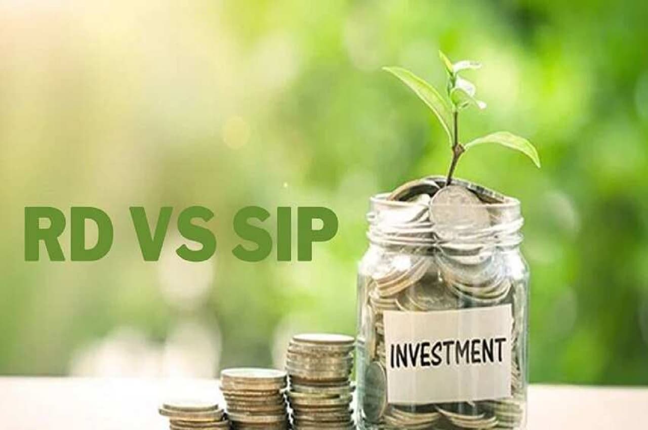 SIP VS RD: निवेश का ये विकल्प है सबसे बेस्ट, 5 साल बाद देगा बंपर रिजल्ट...देखें कैलकुलेशन