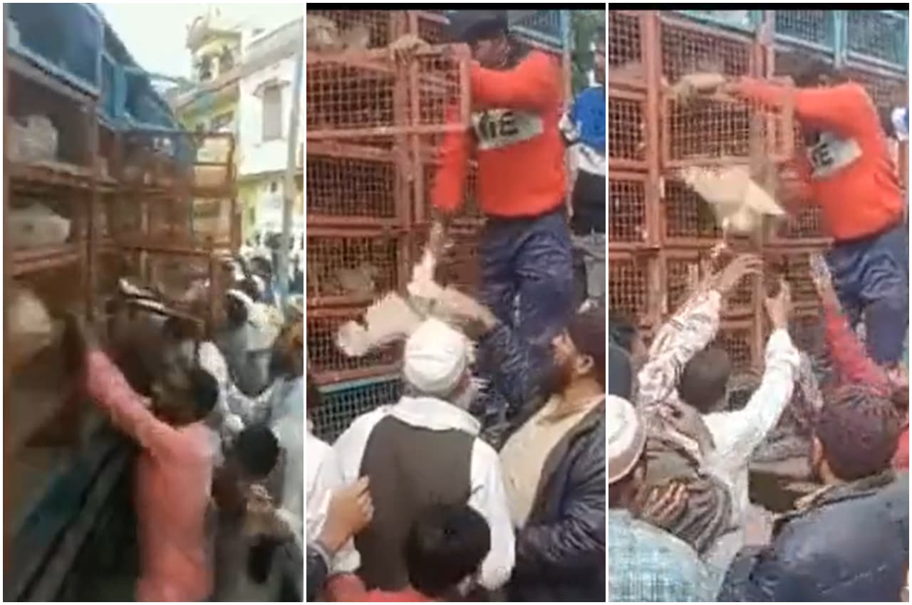 Viral Video: वोटरों को लुभाने के लिए ट्रक भरकर बंटवाए मुर्गे, फिर कहा- मेरी क्या औकात... सब ऊपर वाला करवा रहा है