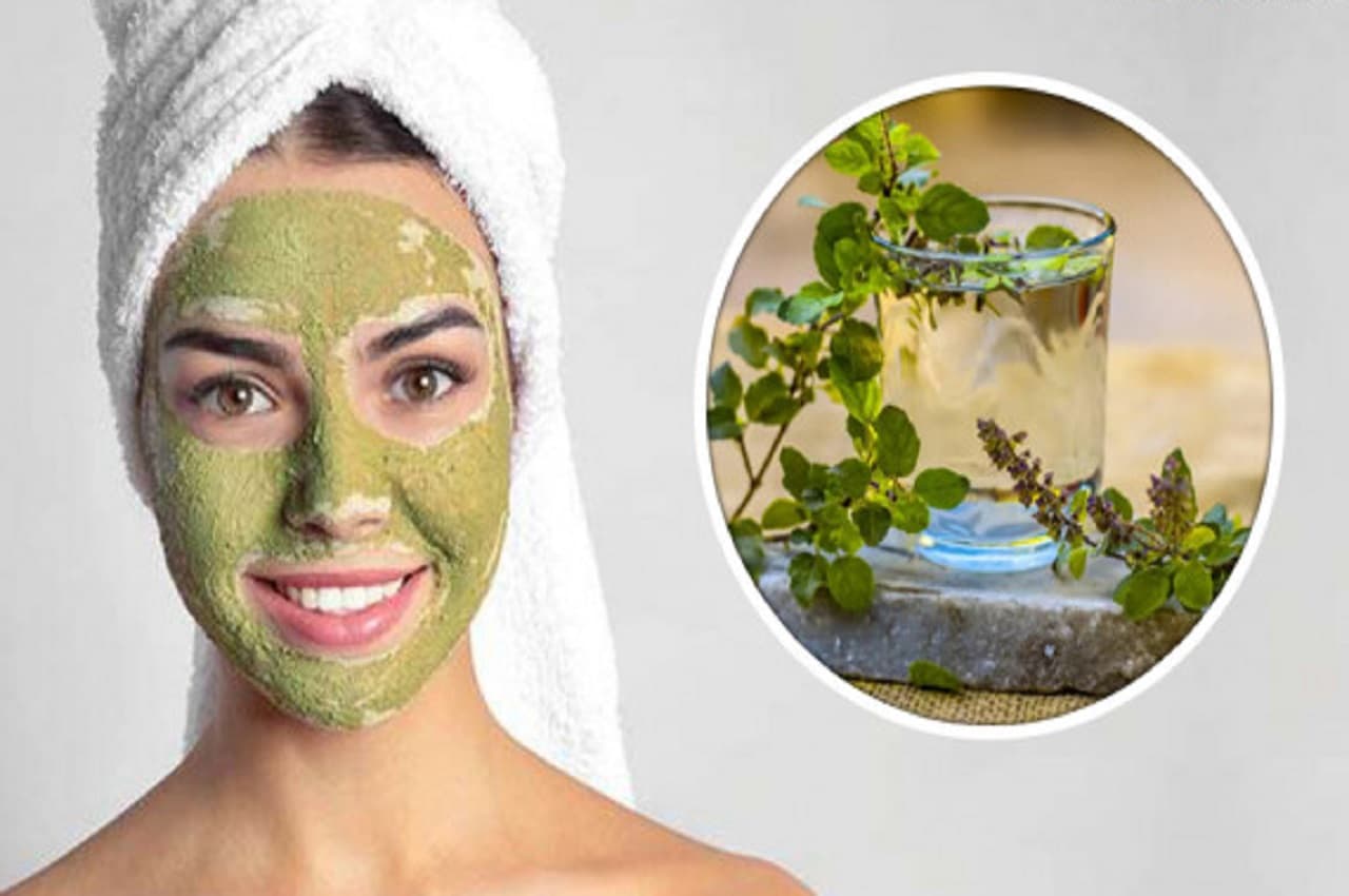 Tulsi For Glowing Skin: तुलसी के उपयोग से चहरे को मिलेगा जादुई निखार, जानें इस्तेमाल का तरीका