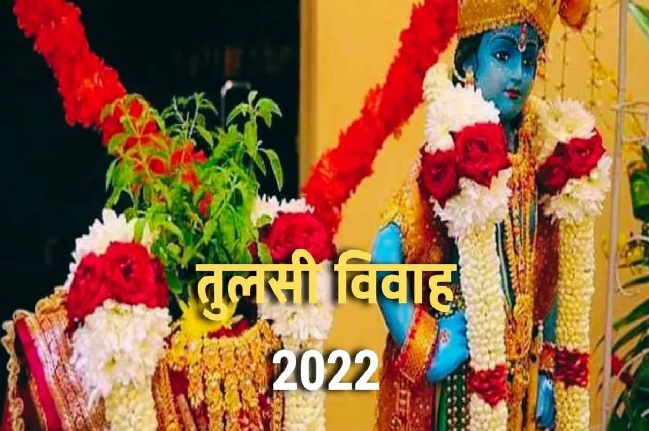 Tulsi Vivah 2022: तुलसी विवाह का पावन त्योहार आज, जानें पूजा विधि समेत तमाम जानकारी
