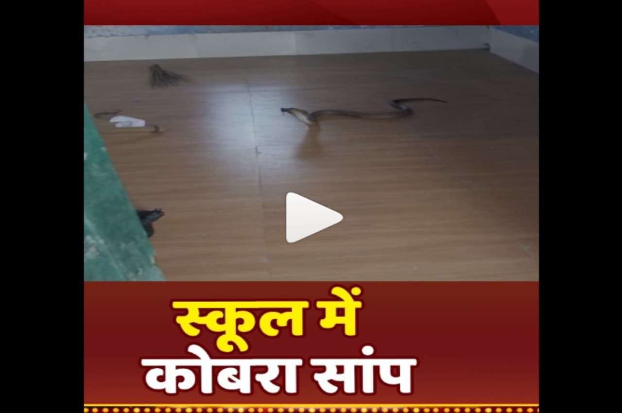 सरकारी स्कूल में बच्चे सीख रहे थे ककहरा, तभी निकला कई फीट लंबा नाग, फिर जो हुआ उसे देख उड़ जाएंगे होश