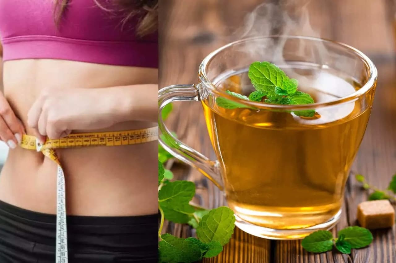 Weight Loss Drinks: रोजाना पीएं ये 4 ड्रिंक्स, कमर की चर्बी तुरंत गायब होने लगेगी
