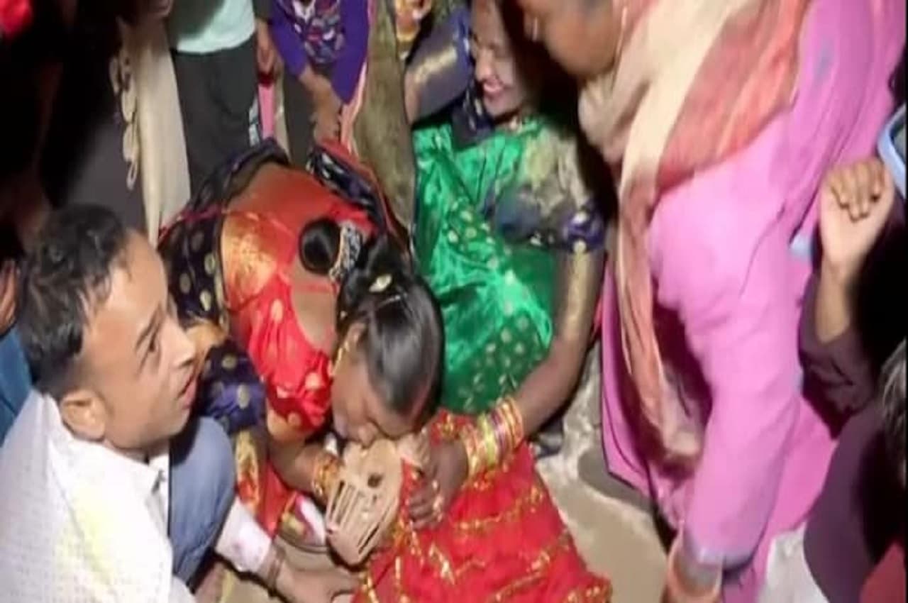 Sweety weds Sheru Video: हरियाणा में दो पालतू कुत्तों की हिंदू रीति-रिवाजों से कराई शादी, आमंत्रण कार्ड देख चौक जाएंगे