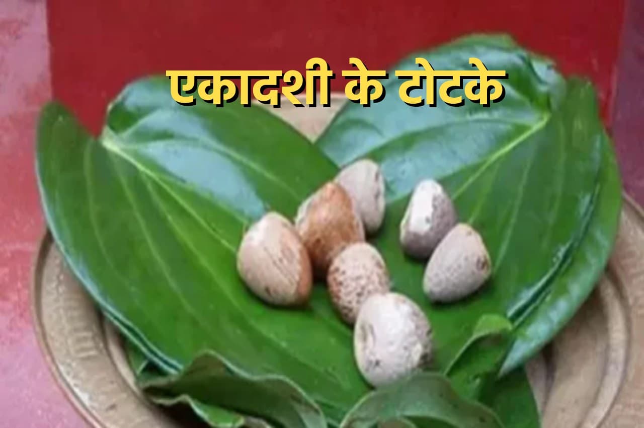 Ekadashi Vrat: एकादशी के टोटके बना देते हैं बिगड़ी किस्मत, मनोकामना होती है पूरी