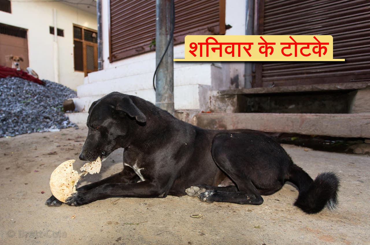 Shaniwar Ke Upay: शनिवार को करें ये तांत्रिक टोटके तो दुर्भाग्य भी सौभाग्य में बदल जाएगा