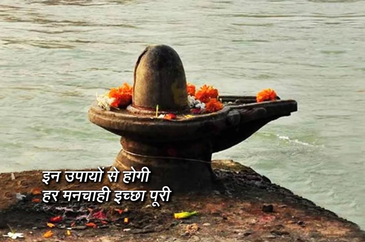 Shukra ke Upay: आपकी हर मनचाही इच्छा पूरी करेंगे ज्योतिष के ये आसान टोटके