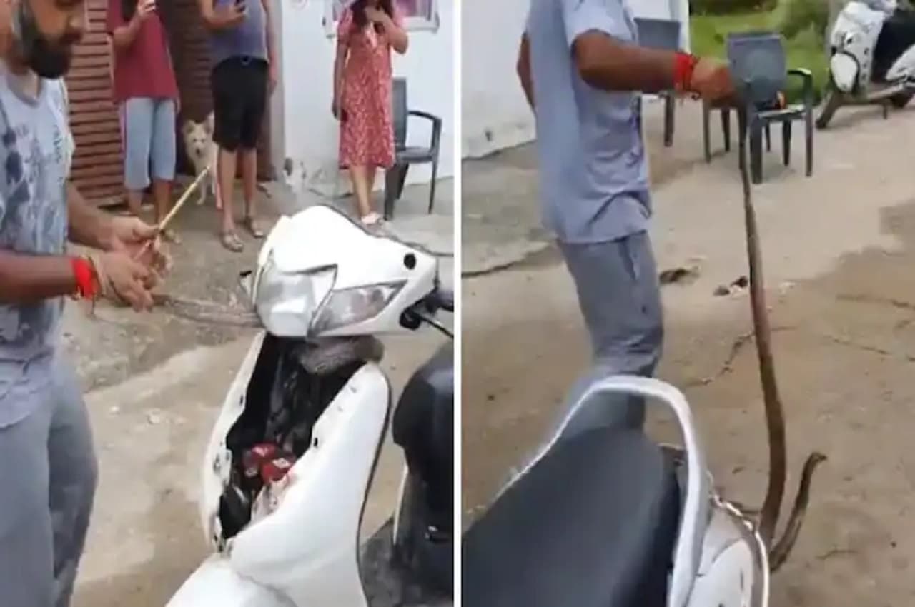 Viral Video: ओ भाई...ये क्या, स्कूटी में दुबककर बैठ गया मोटा सांप, निकालना पड़ा भारी