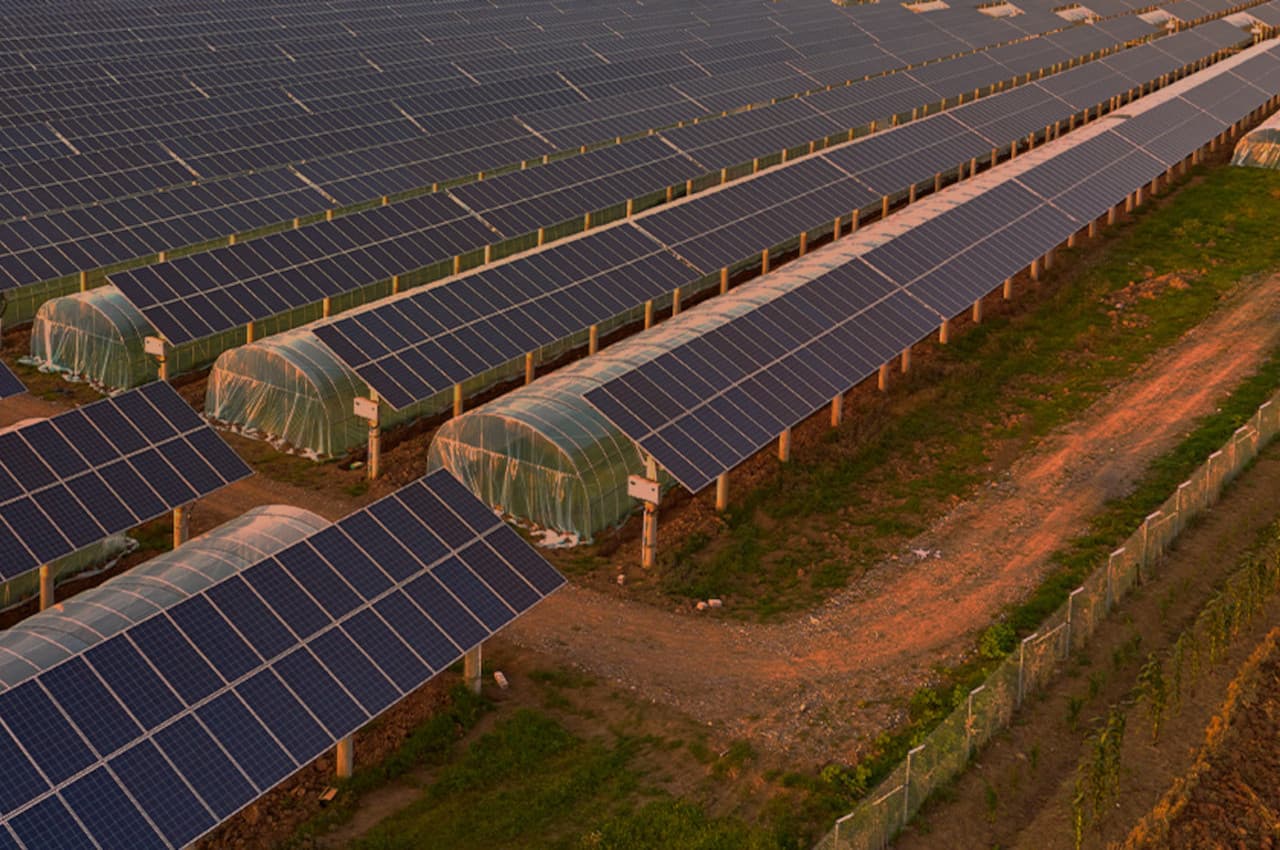 Solar Energy 2022: सोलर पॉवर प्लांट्स से भारत ने सिर्फ 6 महीनों में बचाए 3.26 खरब रुपए