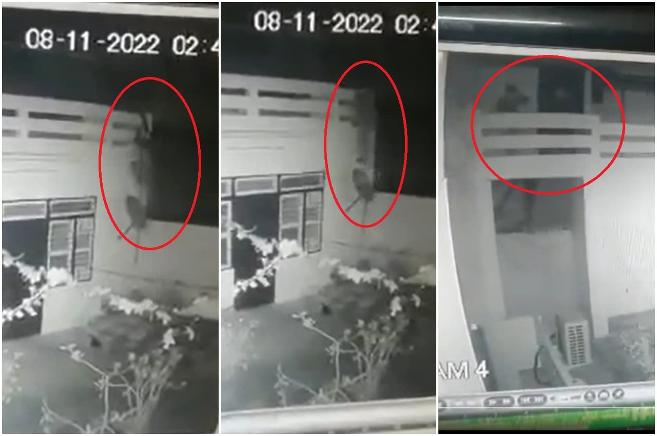 Viral Video: सावधान; ये स्पाइडरमैन चोर हैं..., घटना के बाद सीसीटीवी फुटेज देख पुलिसवाले भी परेशान