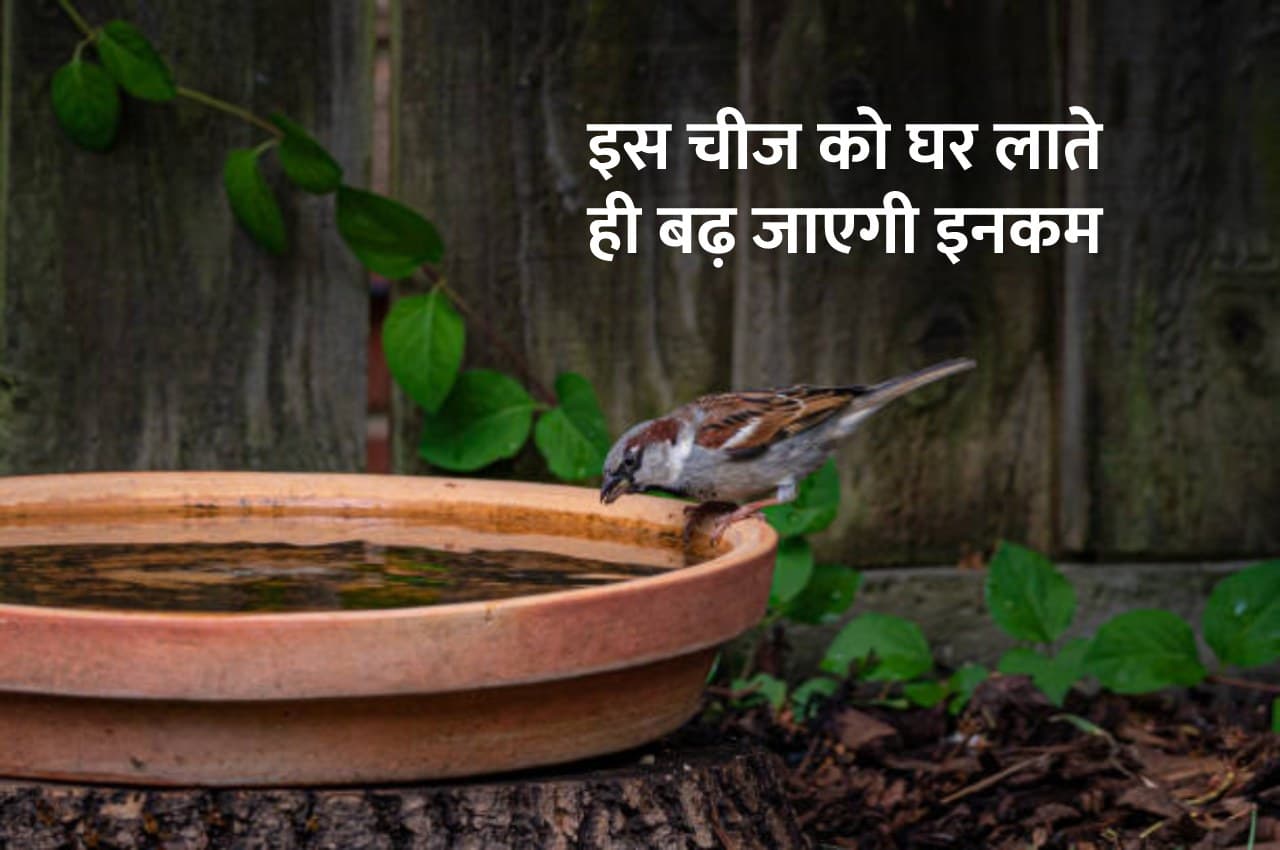 Vastu Tips: आज ही घर ले आएं ये एक चीज, तुरंत डबल हो जाएगी इनकम