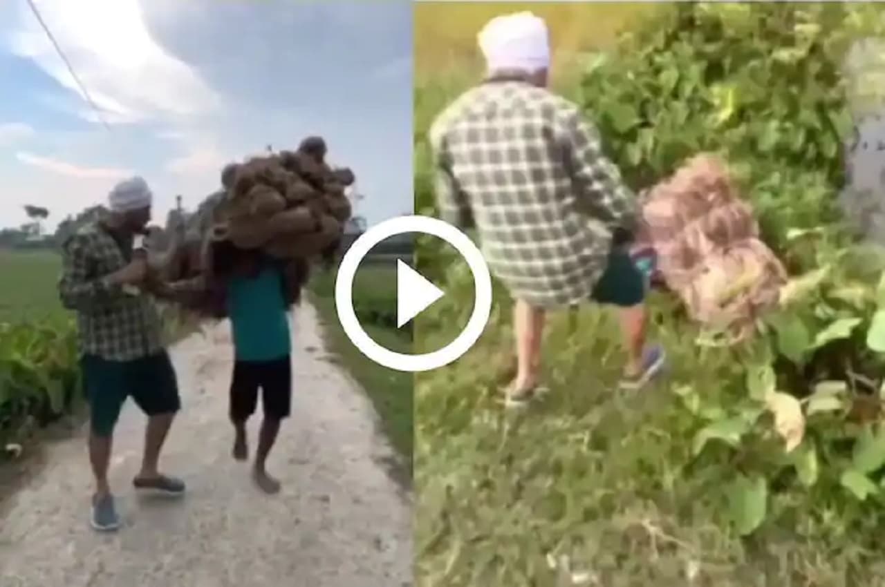 Viral Video: खेतों के बीच रिपोर्टिंग कर रहे शख्स ने छूआ ही था और ये मजदूर जा गिरा नदी में, बहुत फनी मूमेंट हुआ कैप्चर