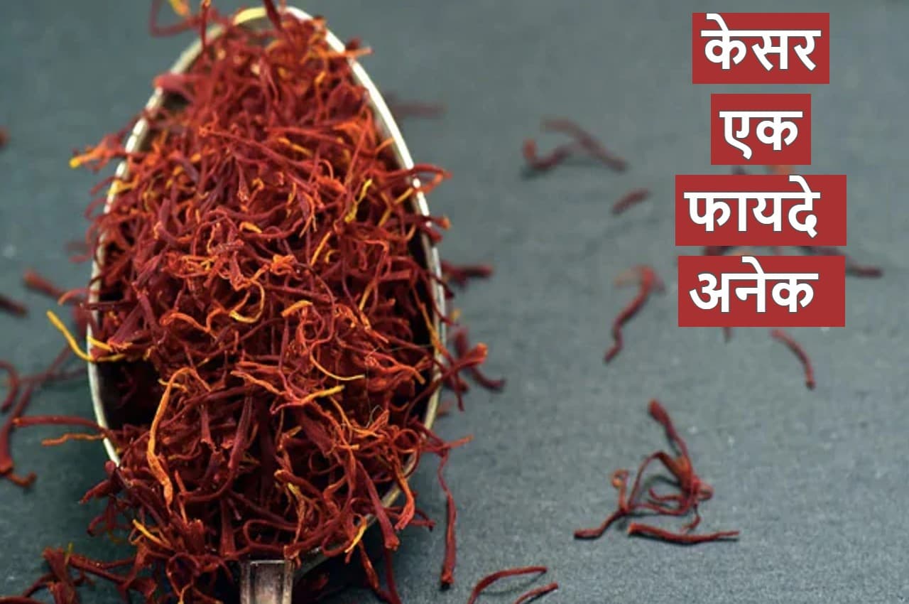 Benefits of Saffron: केसर एक फायदे अनेक, पुरुष सेहत के लिए महंगाई से न करें समझौता