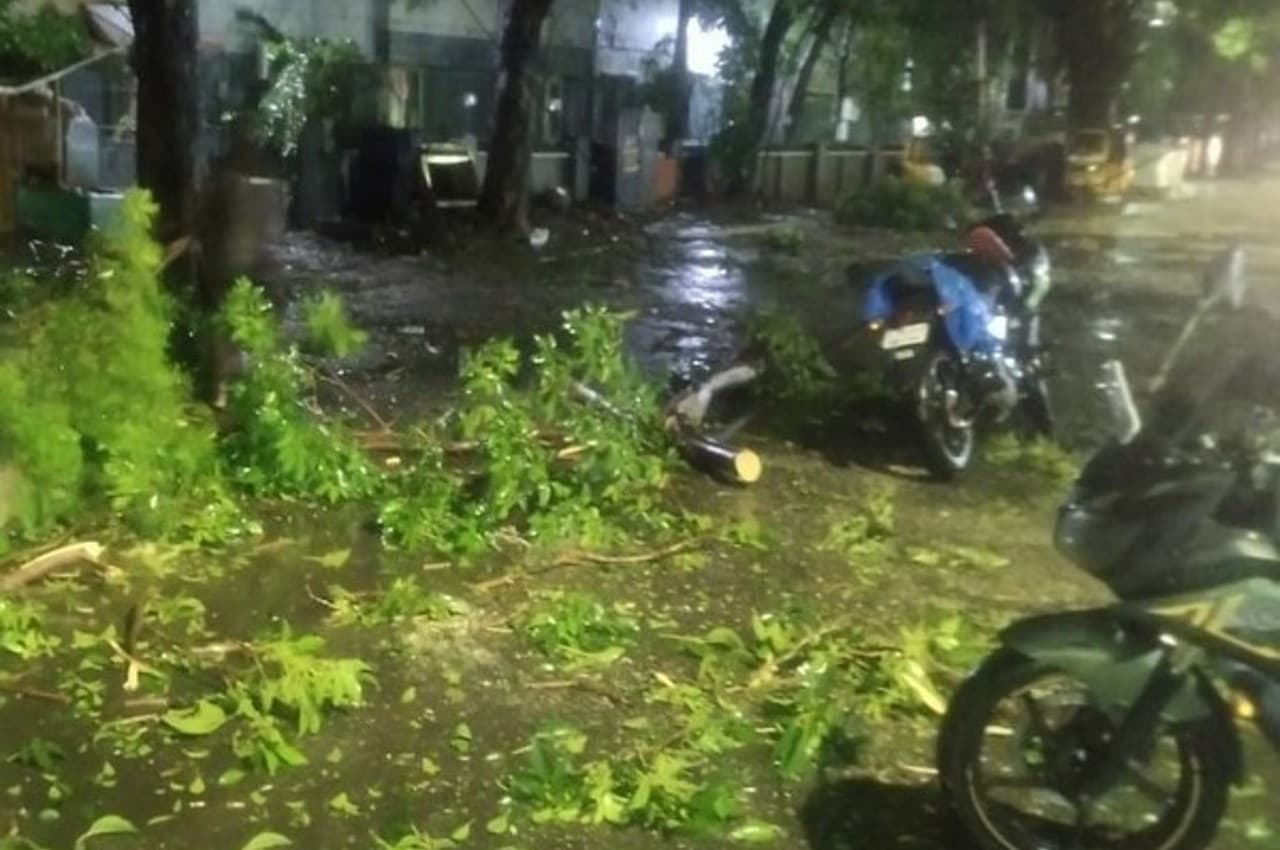 Cyclone Mandous: मैंडूस तूफान ने तमिलनाडु में जमकर मचाई तबाही; कई जगहों पर पेड़ गिरे, घरों के छत भी उड़े