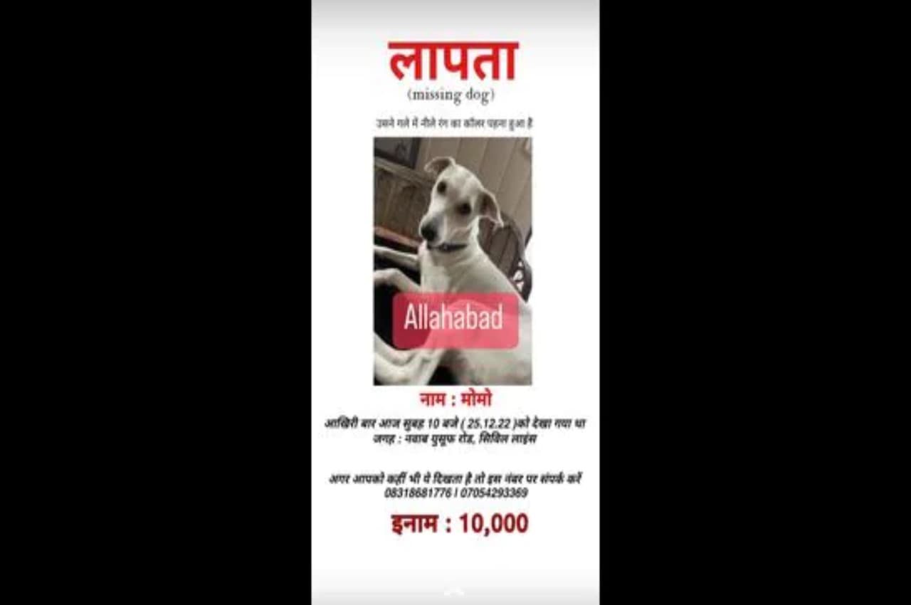 अनोखा पशु प्रेम; जो भी मेरे 'मोमो' का पता लगाएगा, उसे 10 हजार का नगद इनाम, जानें पूरा मामला