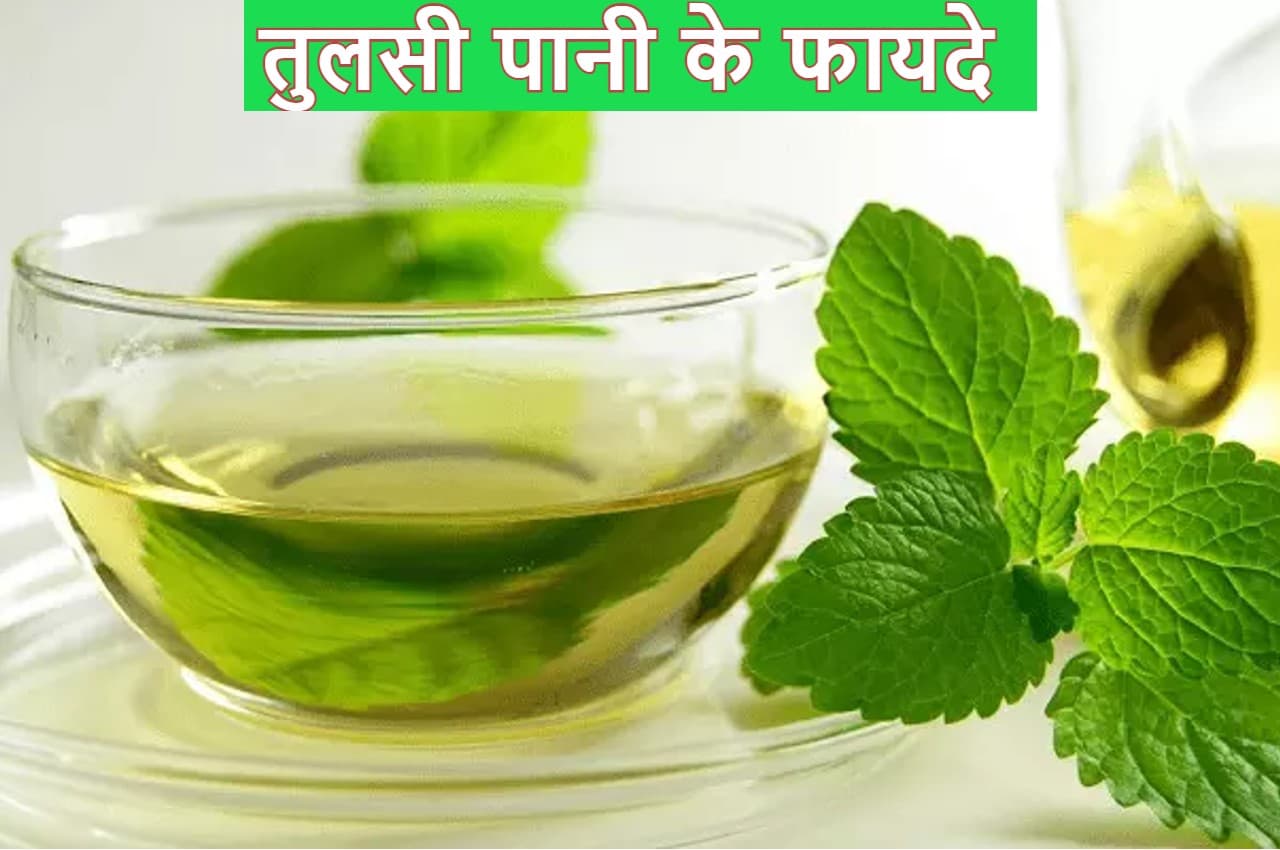 Tulsi Water Benefits: तुलसी का पानी सेहत के लिए होता है रामबाण, मिलते हैं चमत्कारिक फायदे