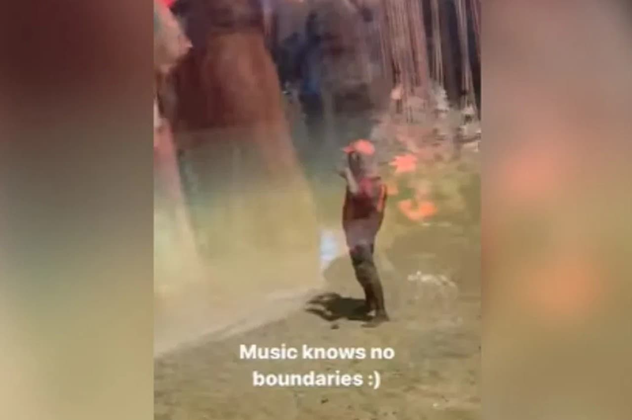 Viral Video: 'सपने में मिलती है' गाने पर जोमैटो डिलीवरी बॉय का धांसू डांस, यूजर्स बोले- वाइब है