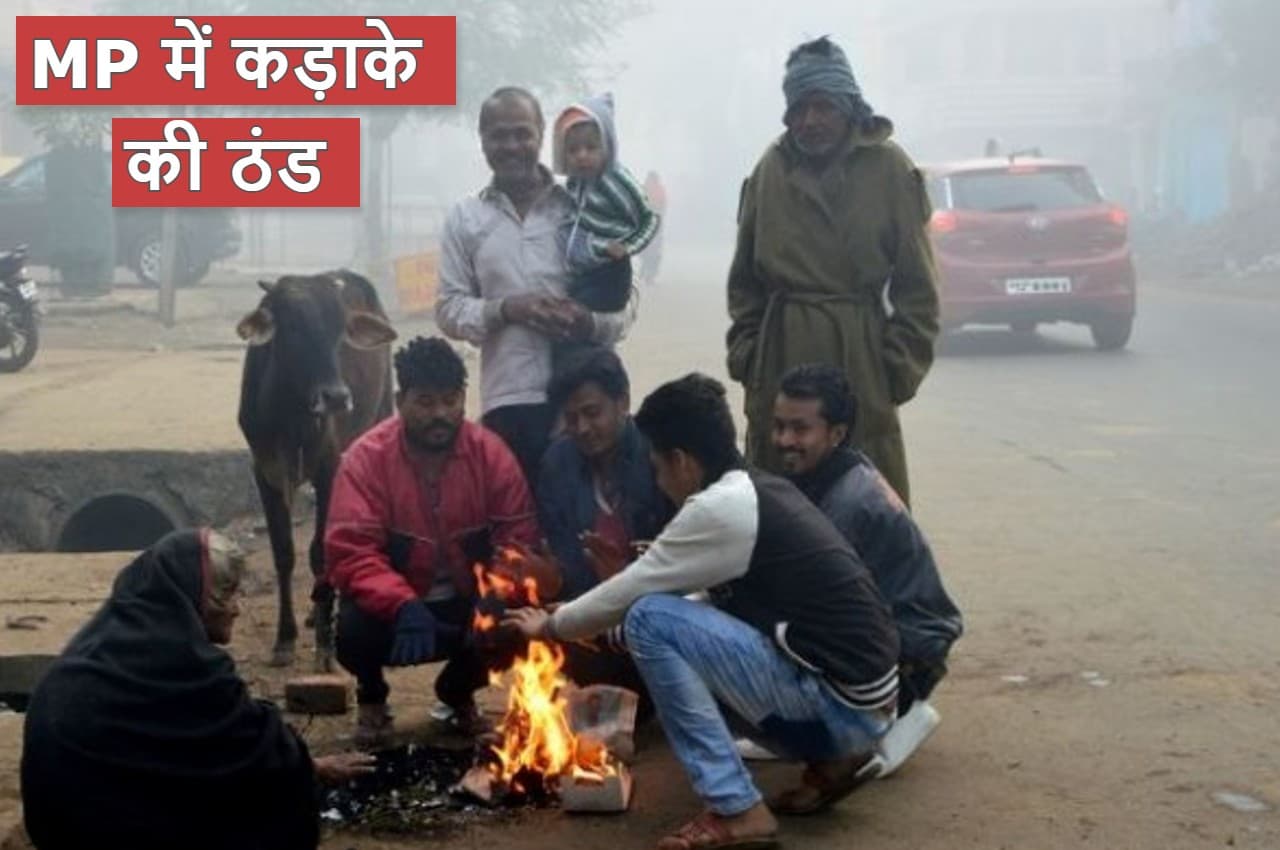 MP Weather: मध्य प्रदेश में सर्द हवाओं ने बढ़ाई ठंड, सर्दी से दिन में भी बढ़ी ठिठुरन