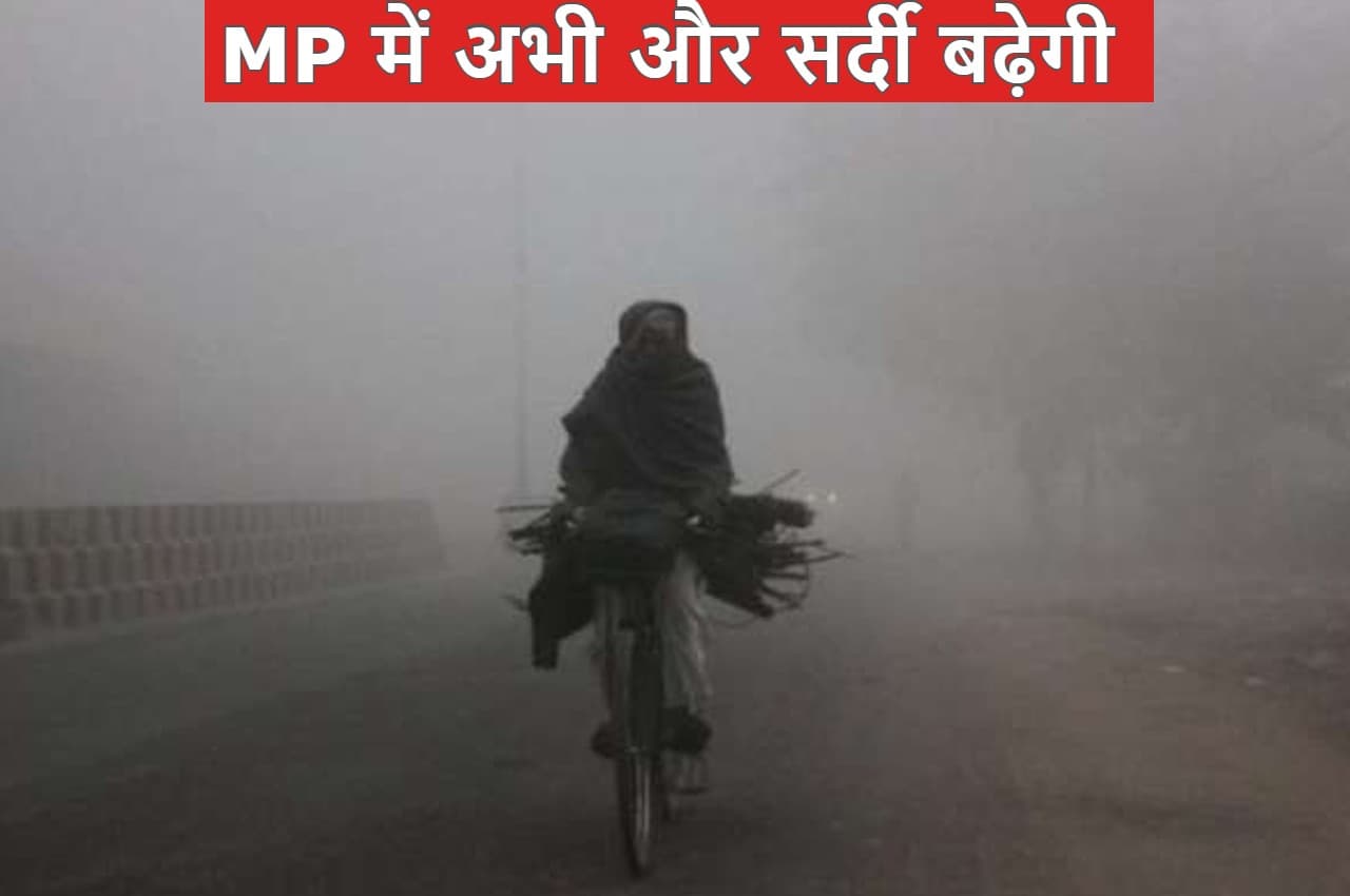 MP Weather Update: मध्य प्रदेश में बादल छटे सर्दी बढ़ी, अब पड़ेगी कड़ाके की ठंड