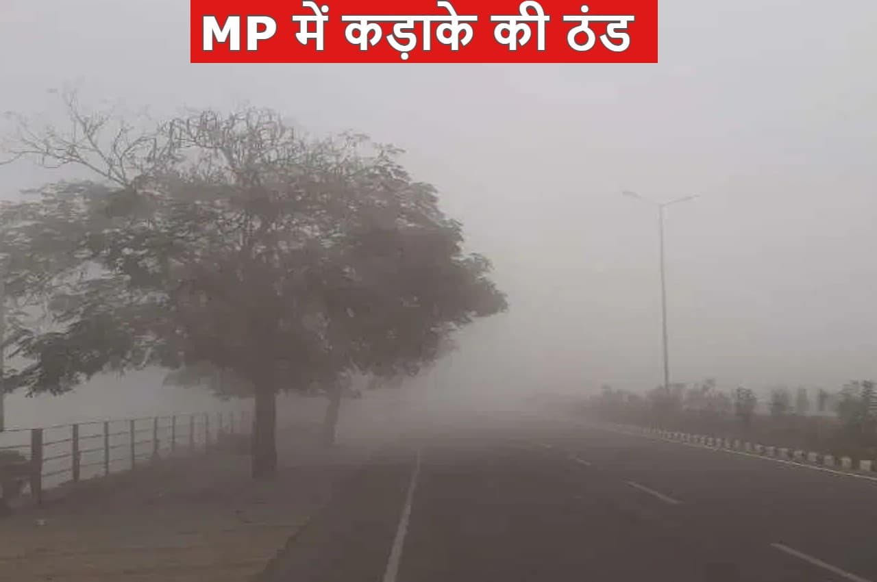 MP Weather: मध्य प्रदेश में सर्दी का सितम, तापमान गिरने से पड़ रही कड़ाके की ठंड