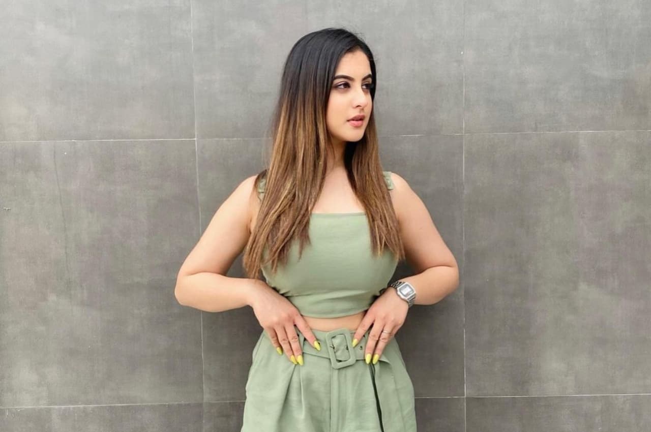 Tunisha Sharma Death Case: श्रद्धा हत्याकांड के बाद इस वजह से तुनिशा से किया था ब्रेकअप, पूछताछ में शीजान खान का दावा