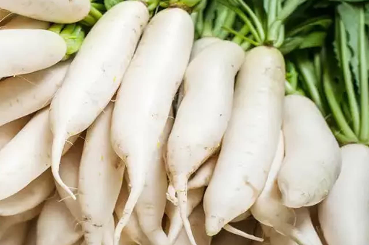 Winter Vegetable: इस सब्जी को सलाद में शामिल करिए, सर्दियों में सेहत भी बनेगी, कमजोरी दूर होगी