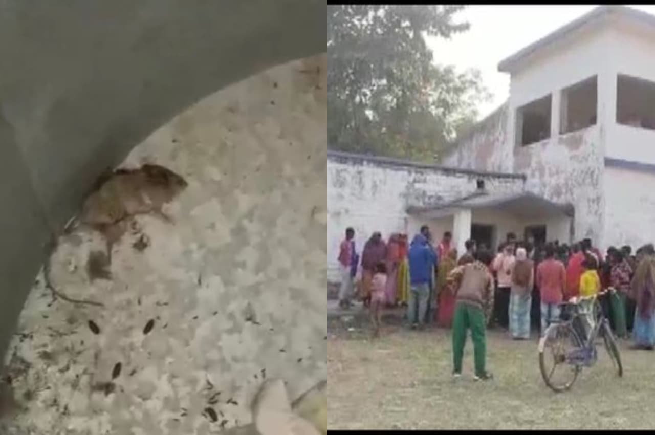 West Bengal: मिड डे मील में मिले चूहे व छिपकली, अभिभावकों ने किया हंगामा 