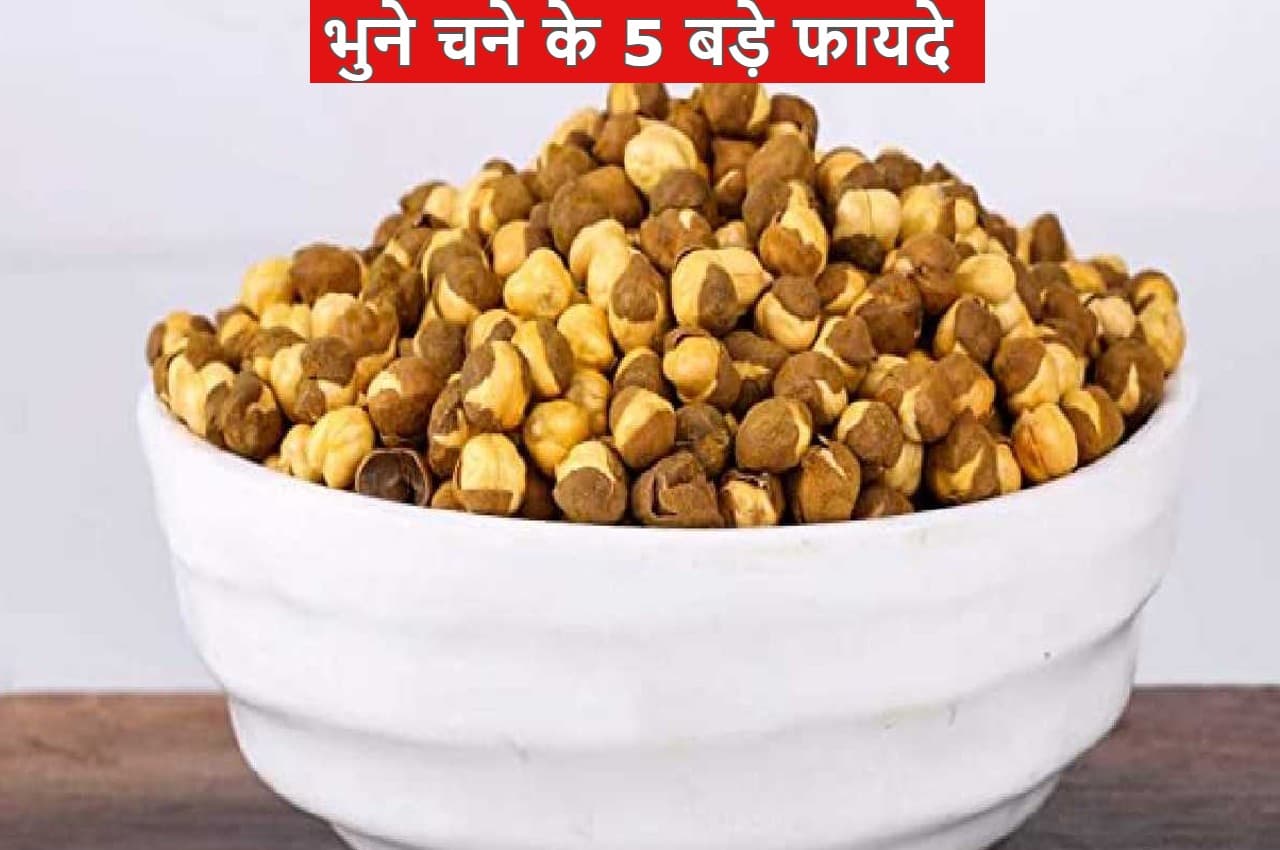 Benefits of Roasted Gram: सर्दियों में रामबाण होता है भुना हुआ चना, जानिए इसके 5 बड़े फायदे