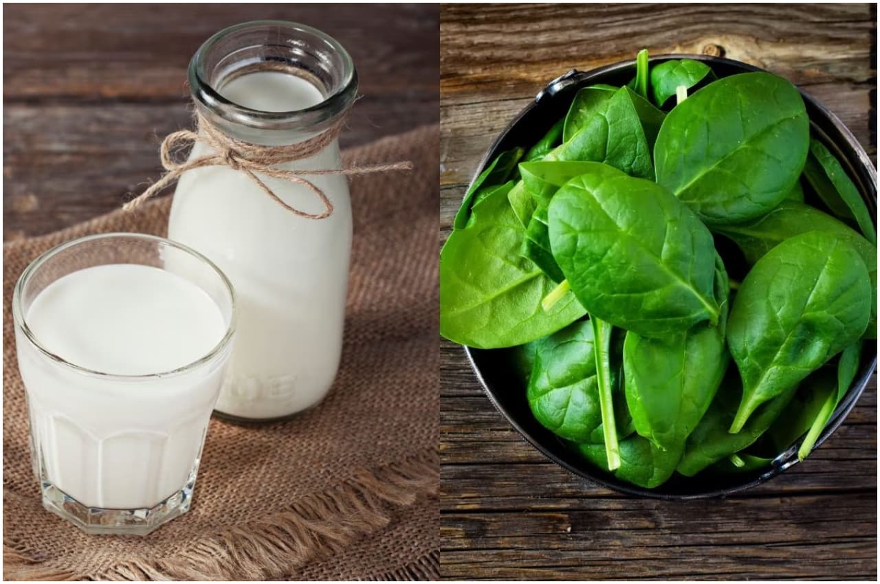 Calcium Deficiency: पालक या फिर दूध?...किसे खाने से मिलेगा सबसे ज्यादा कैल्शियम, जानें