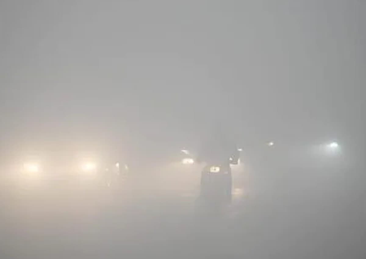 Delhi Cold Wave: कड़ाके की ठंड और कोहरे के बीच 50 से अधिक फ्लाइट्स और 29 ट्रेनें प्रभावित